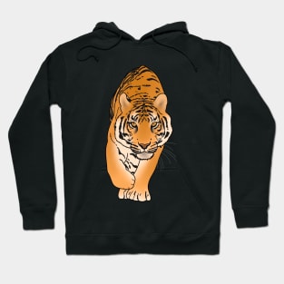 Tiger Stalking, Big Cat, Love Tigers Hoodie